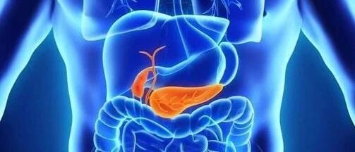 胆结石多半是吃出来的，如何从饮食上预防？