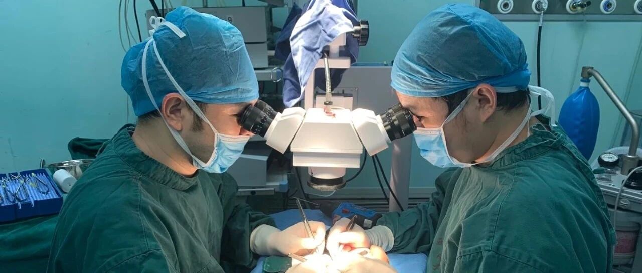 饶泉团队：用精湛医术守住生活的希望！