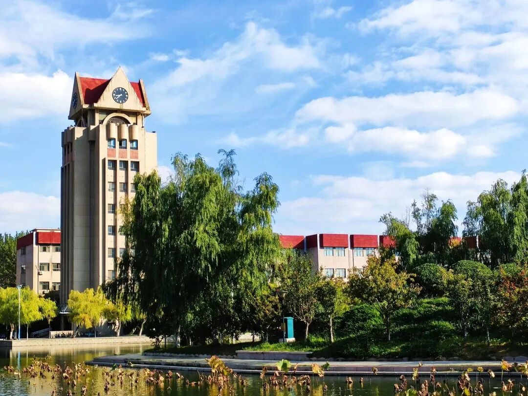 叶落惊秋!来烟台大学邂逅最美秋色