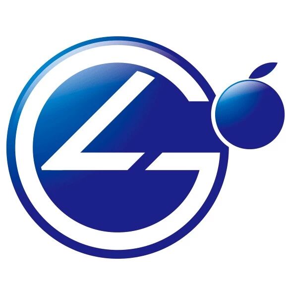 河南蓝果网络技术有限公司