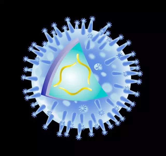 燕窝不是药，却对人体健康非常有效