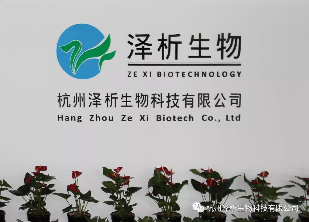 高薪招聘 | 泽析生物2026诚邀加入  “职