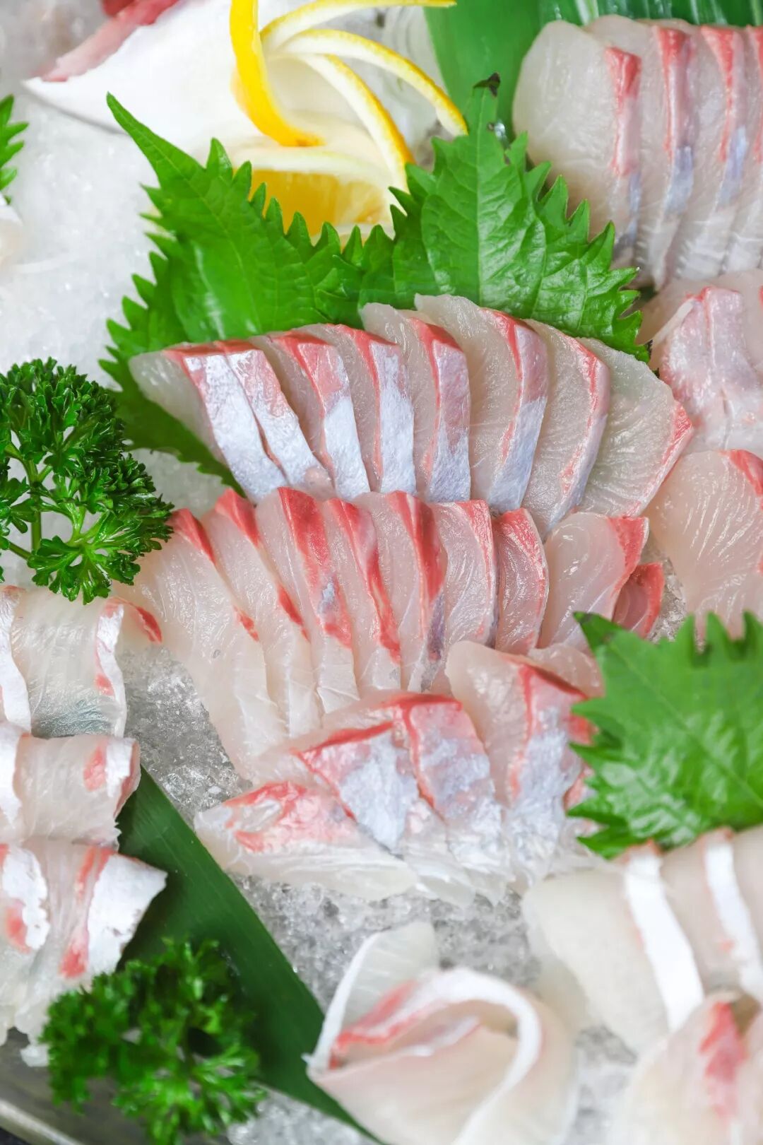 游水的油甘魚 10塊一隻的元貝和生蠔 全部都在海珠區的這家店 廣州生活美食圈 微文庫