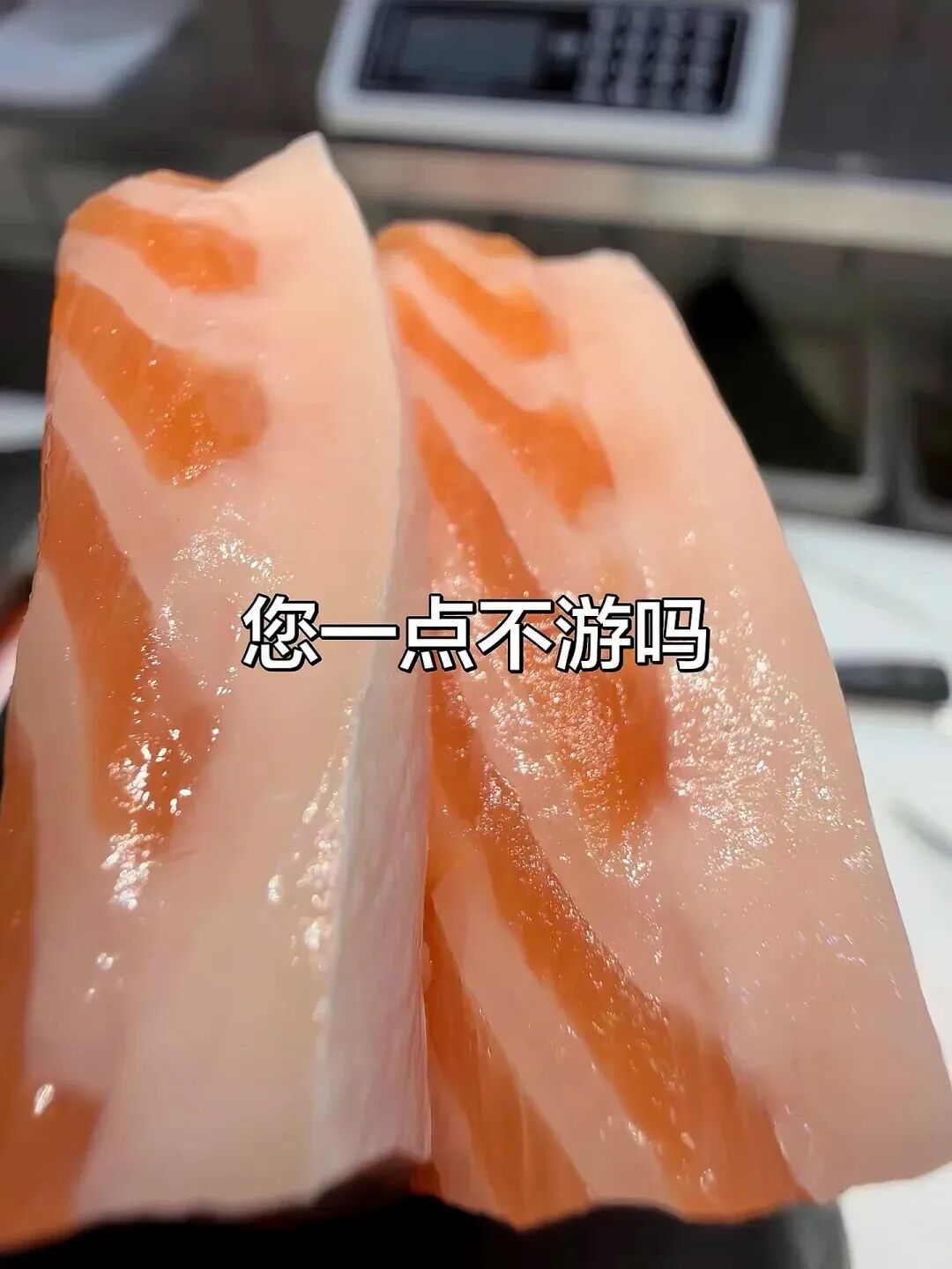 谁说海里没有🐷_1_Kingbes_来自小红书网页版.jpg