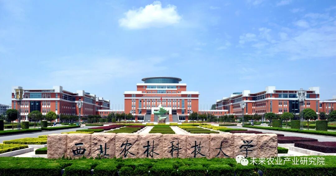 预制菜丨仲恺农业工程学院校企合作科技助力