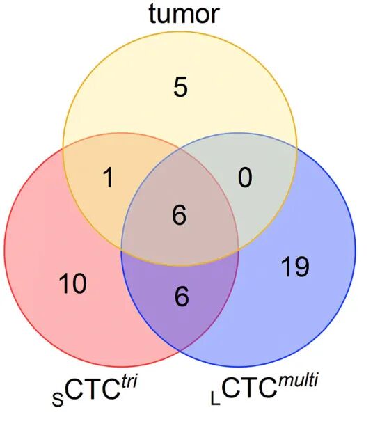 FISH怎么诊断CTC【最新研究】i•FISH单细胞测序揭密大、小CTC的不同耐药机制_https://www.jmylbn.com_新闻资讯_第9张