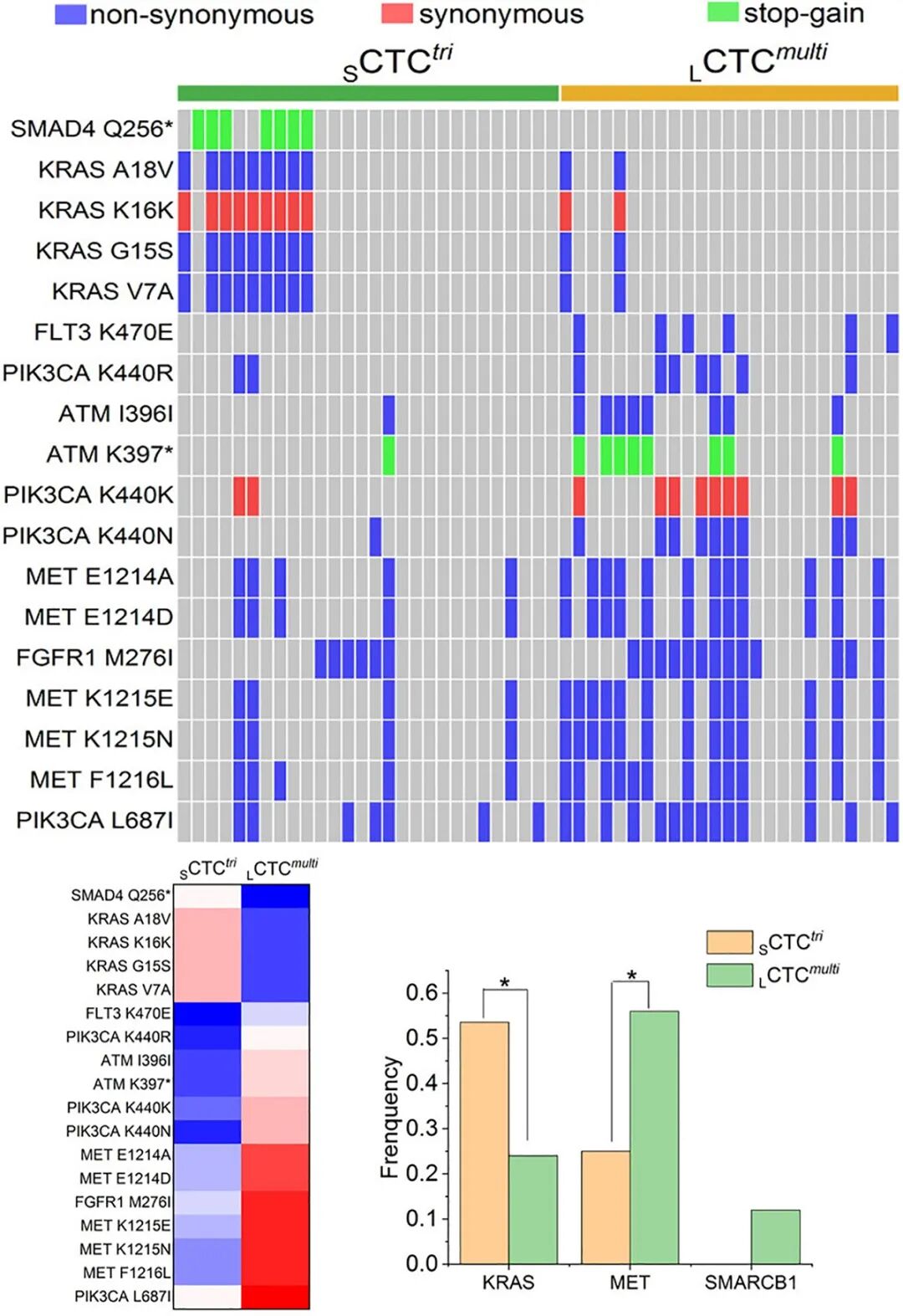 FISH怎么诊断CTC【最新研究】i•FISH单细胞测序揭密大、小CTC的不同耐药机制_https://www.jmylbn.com_新闻资讯_第11张