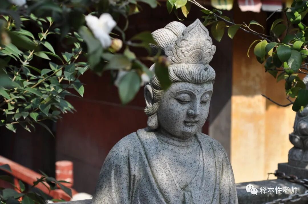 【师说】小事一桩，何必生气