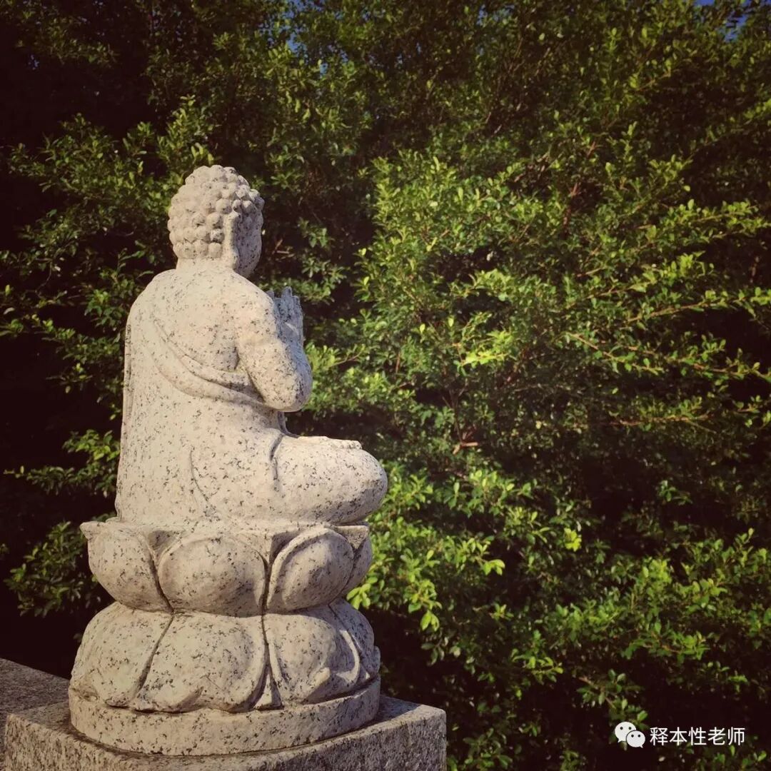 【师说】禅在生活中