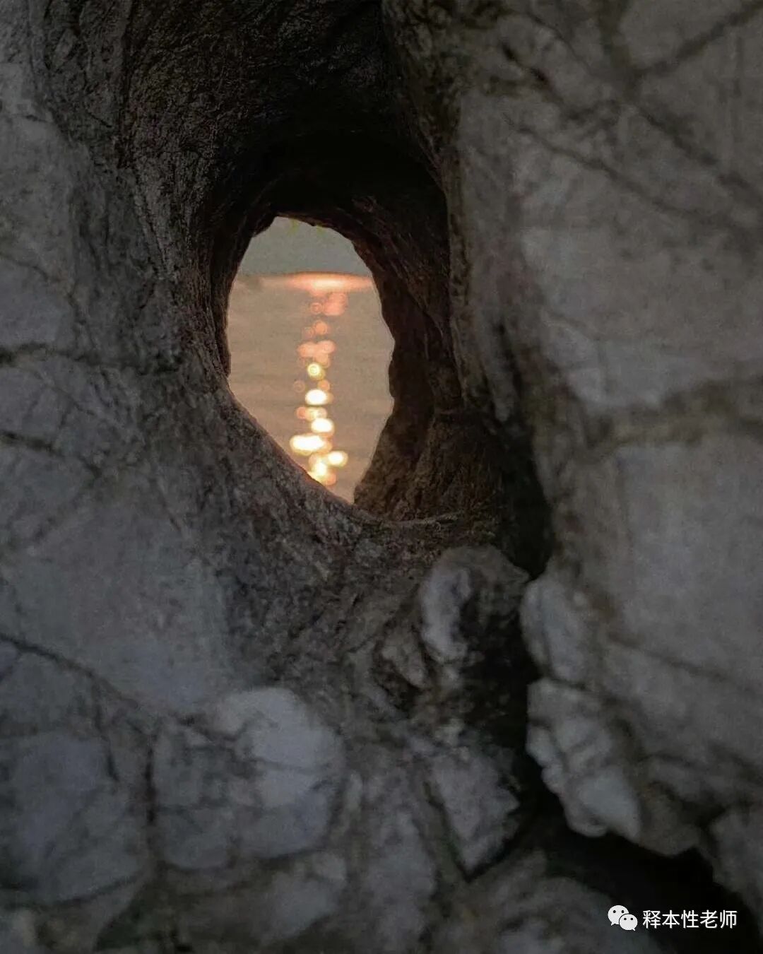 【师说】人的最初意识从哪里来？