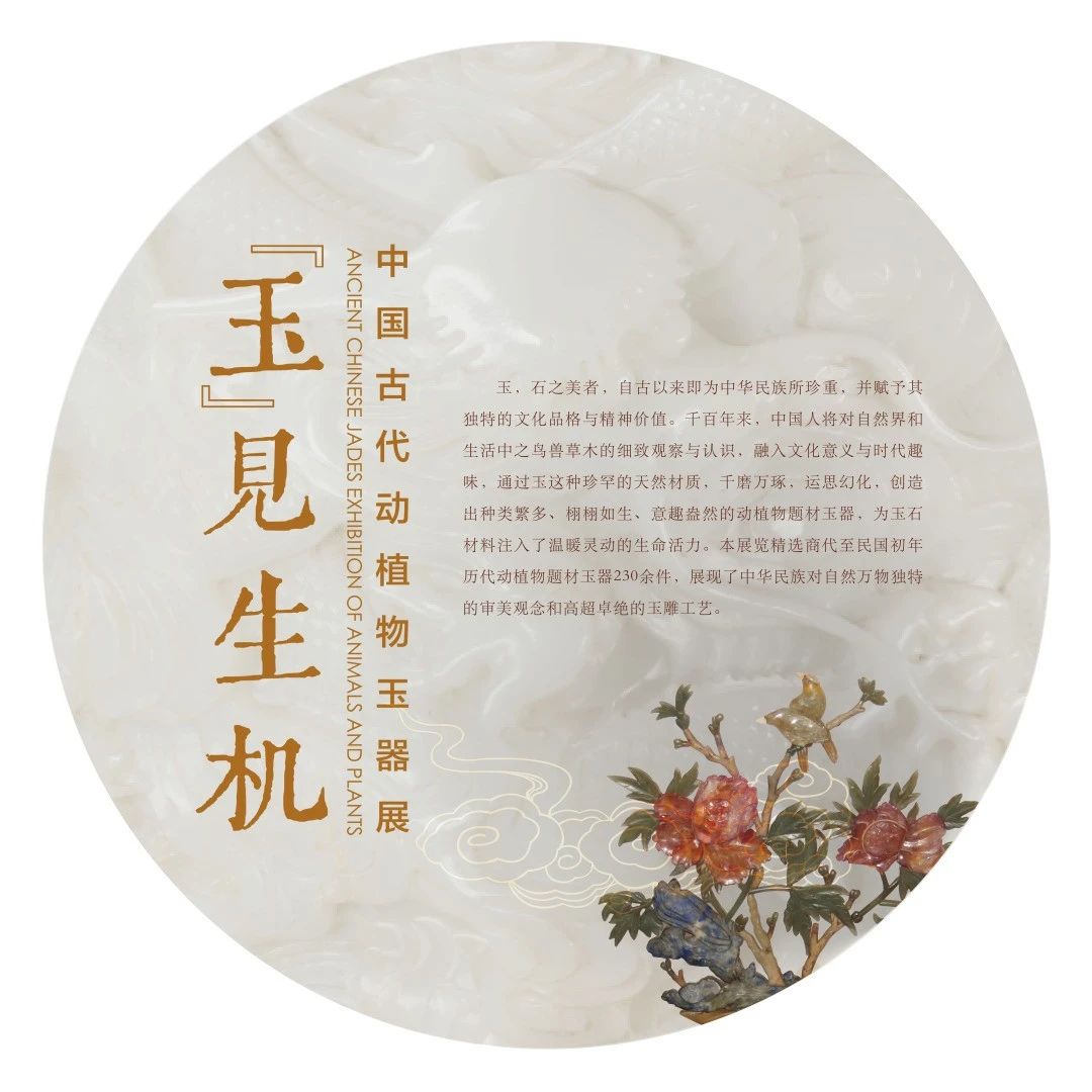 新展开幕 | “玉”见生机——中国古代动植物题材玉器展在颐和园博物馆亮相