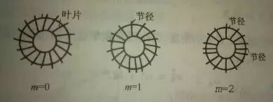 仿真干货丨航空发动机轮盘振动特性分析的图13