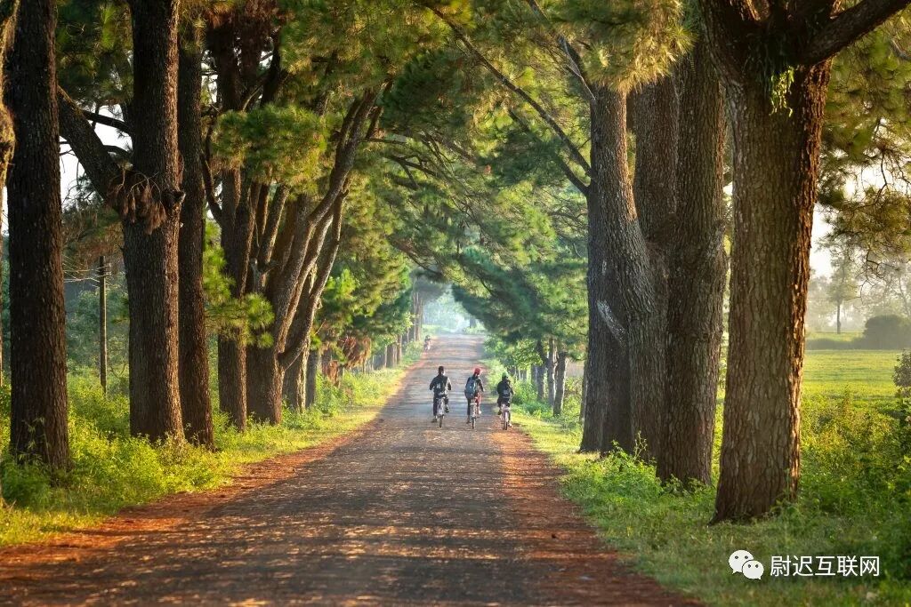 创业好项目白手创业网_创业项目创业好项目_互联网创业项目展会