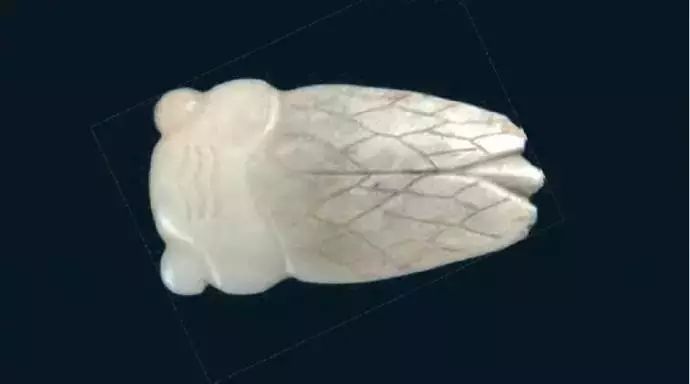 洛阳博物馆宋代玉蝉.jpg