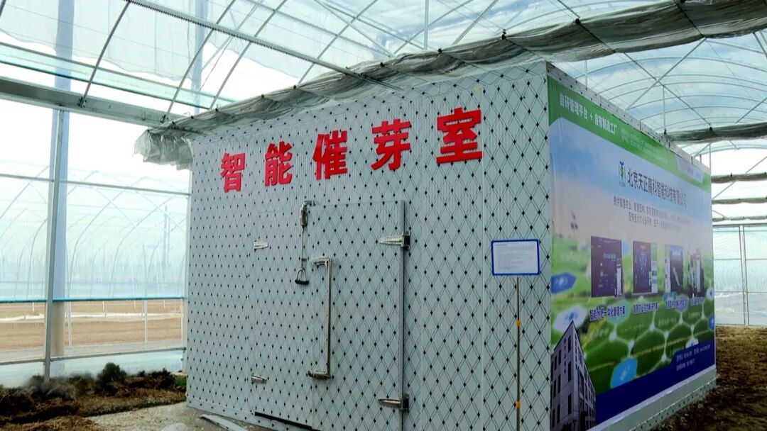 今年,沙口镇大力推进智慧农业化,通过智能催芽室等设备充分利用互联网