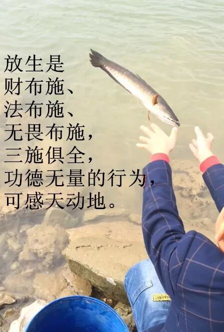 12月18日今天是农历十一月初一请多吃素念经放生功德无量