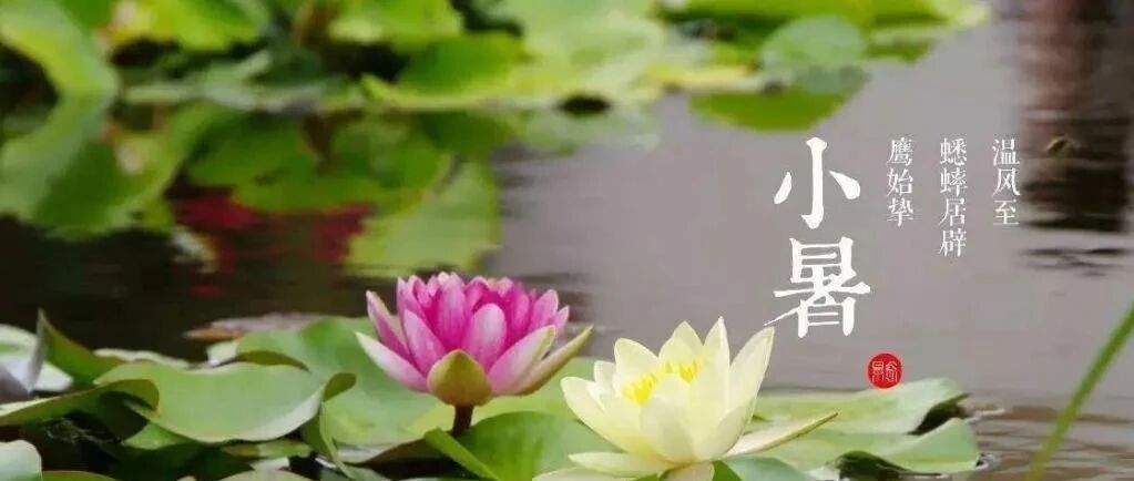 小暑到，这个应季水果千万别多吃！否则吃亏的是自己...