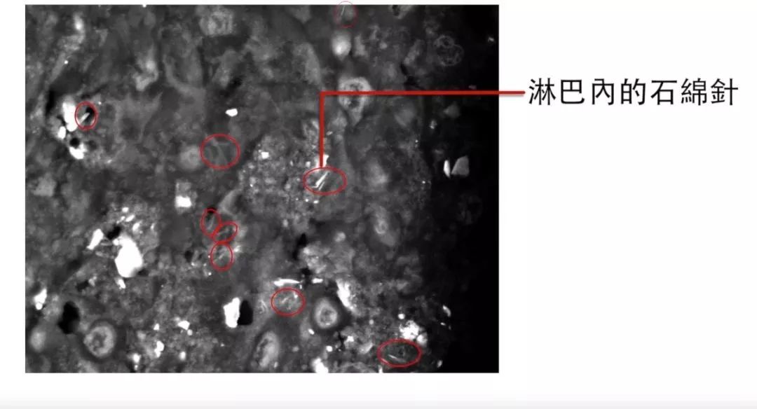 我國將面臨「前所未有的公衛危機」 只因廣泛使用這種致癌物…… 健康 第3張