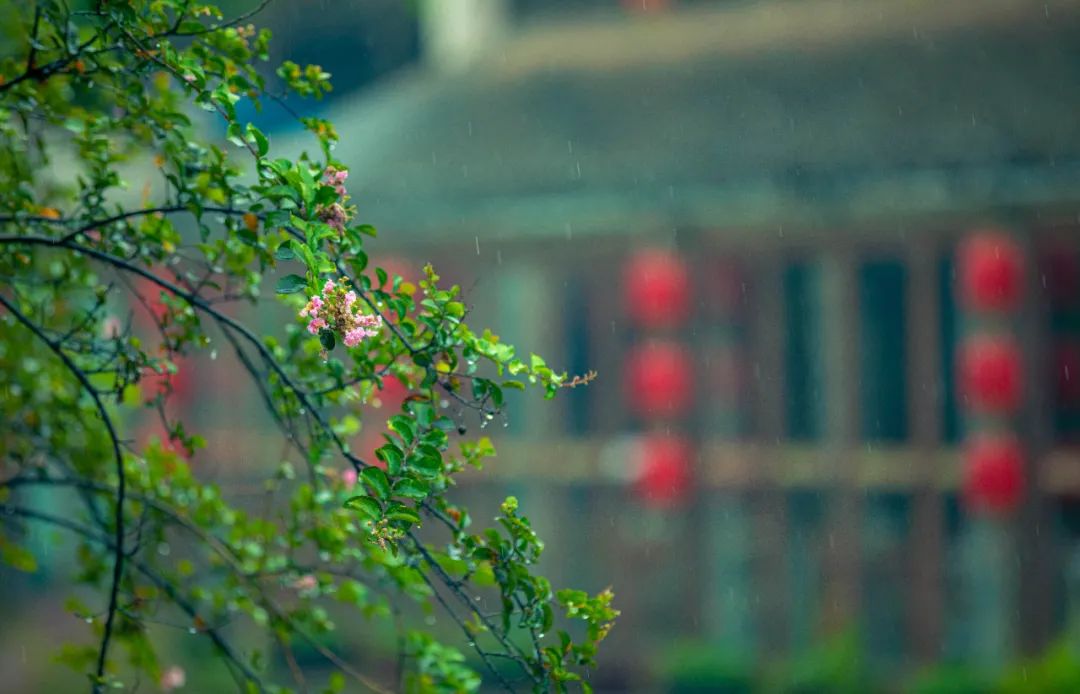 滴落在灰色的琉璃瓦上細雨落在飛簷翹角的屋簷上如同雨中的一場演奏