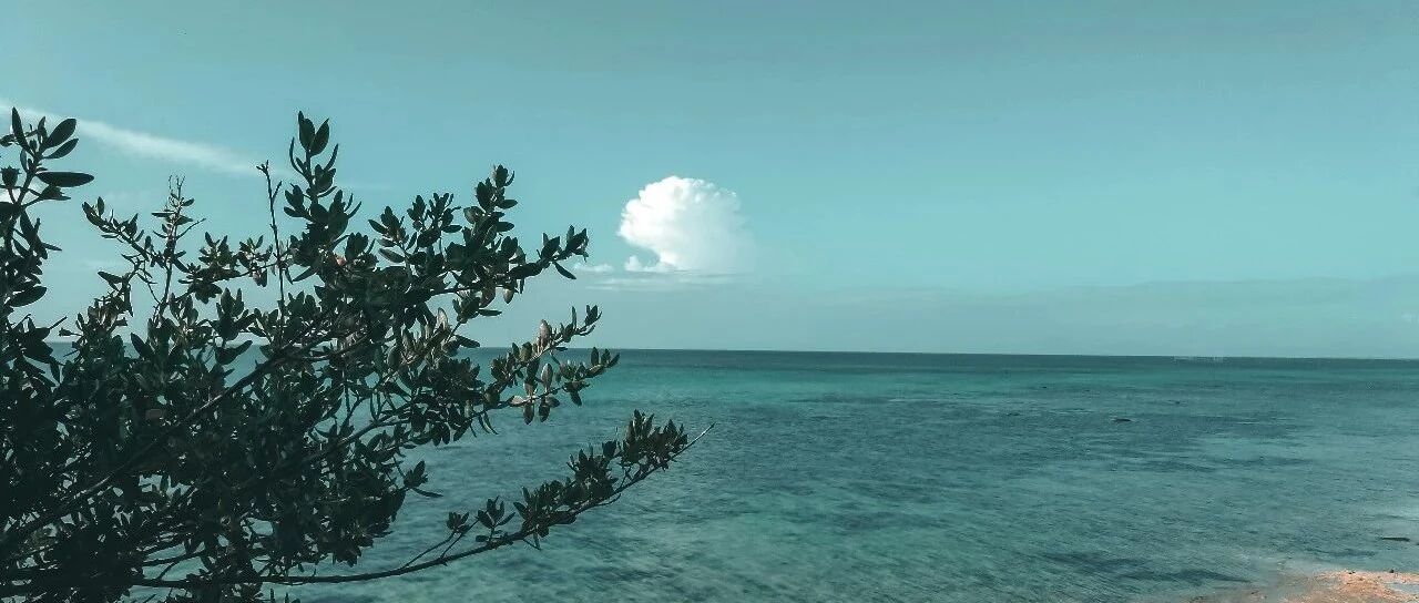 一日三次！微创医疗连续进入“绿色通道”