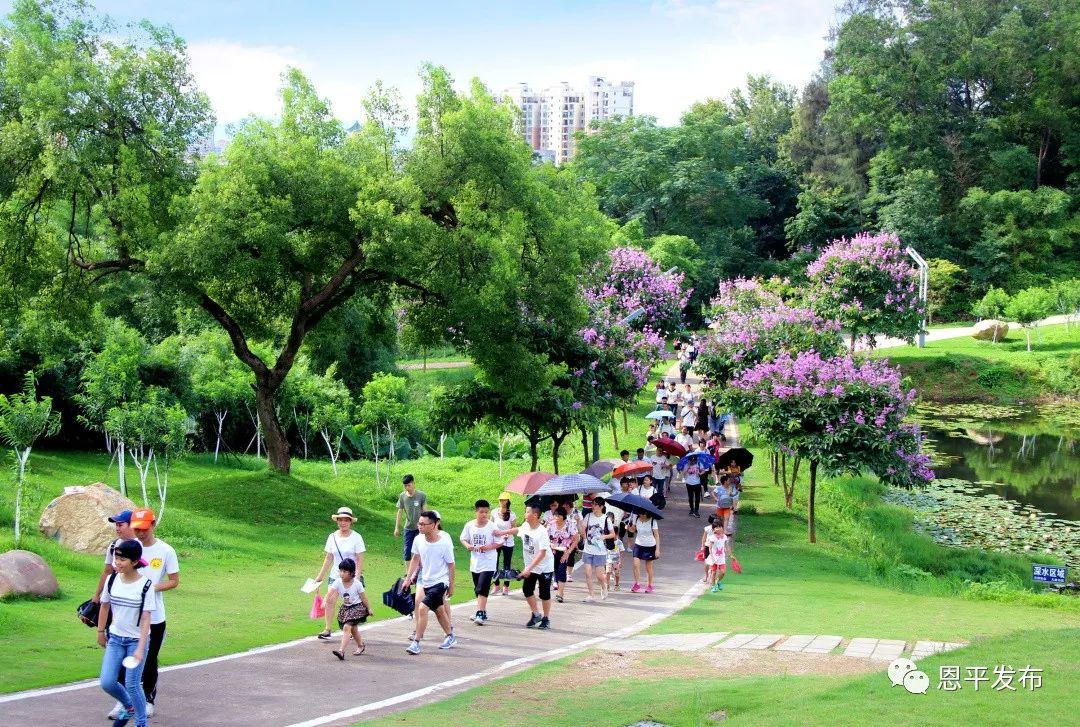 周末去哪兒？江門這幾條旅遊線路藏不住了！沿途美景超級多！走起！ 旅遊 第24張