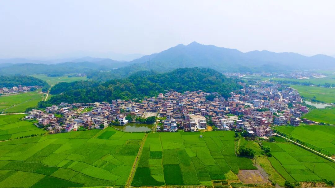 江门恩平市横陂镇人民政府政府信息公开