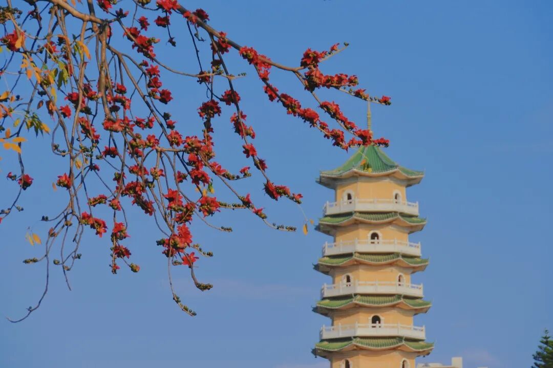 信息速递 - 恩平市人民政府门户网站