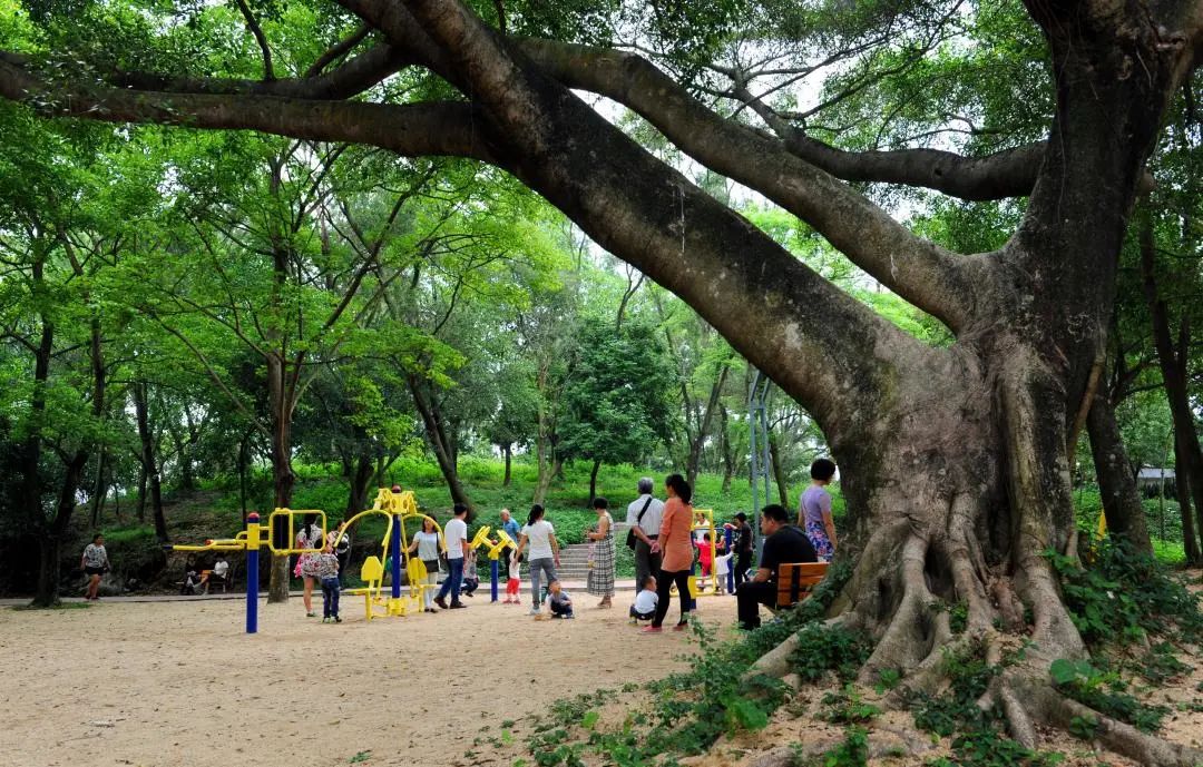 恩平鳌峰山公园图片