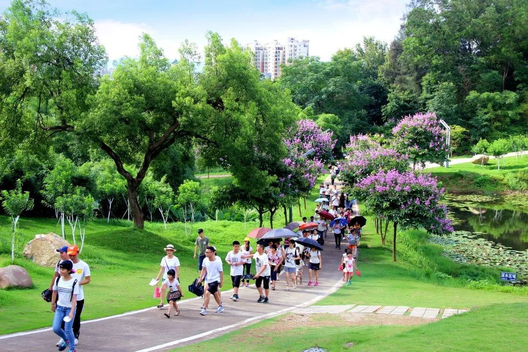 恩平鳌峰山公园图片