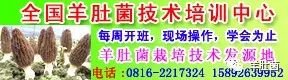 cctv7致富_cctv7养羊致富案例视频_cctv7 致富经