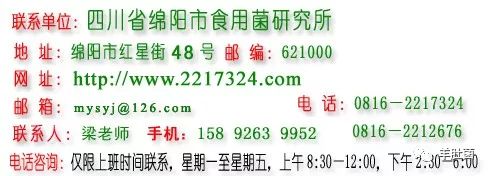 cctv7致富_cctv7 致富经_cctv7养羊致富案例视频