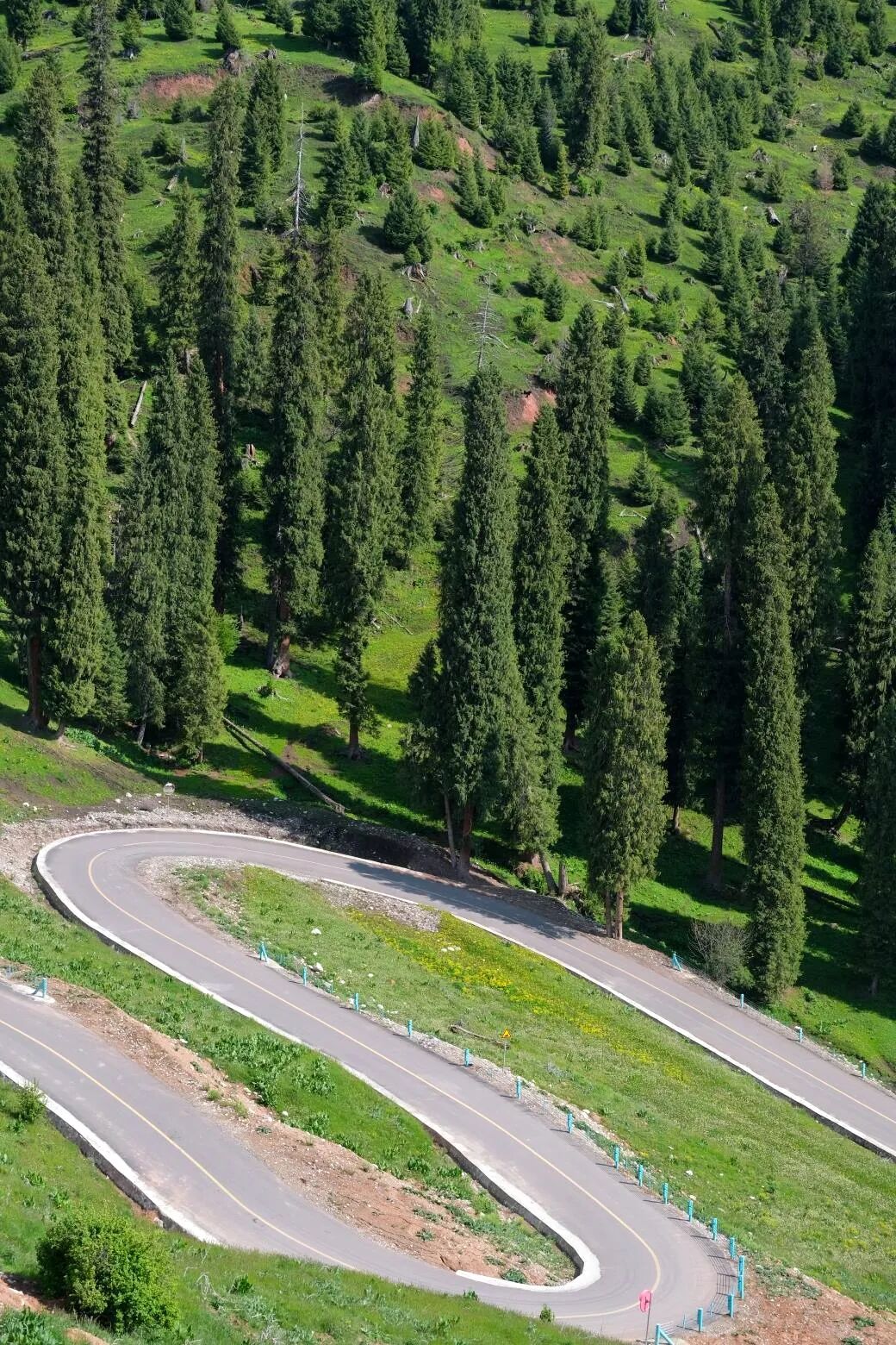 伊犁旅游必去的地方_伊犁必去的十大景点_伊犁必去景点