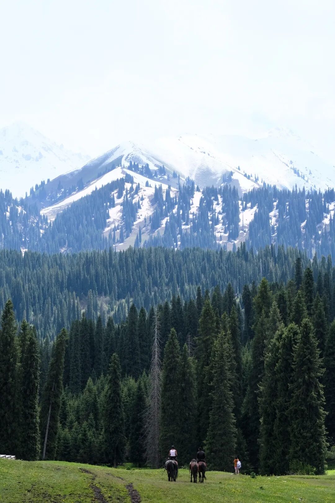伊犁必去景点_伊犁旅游必去的地方_伊犁必去的十大景点