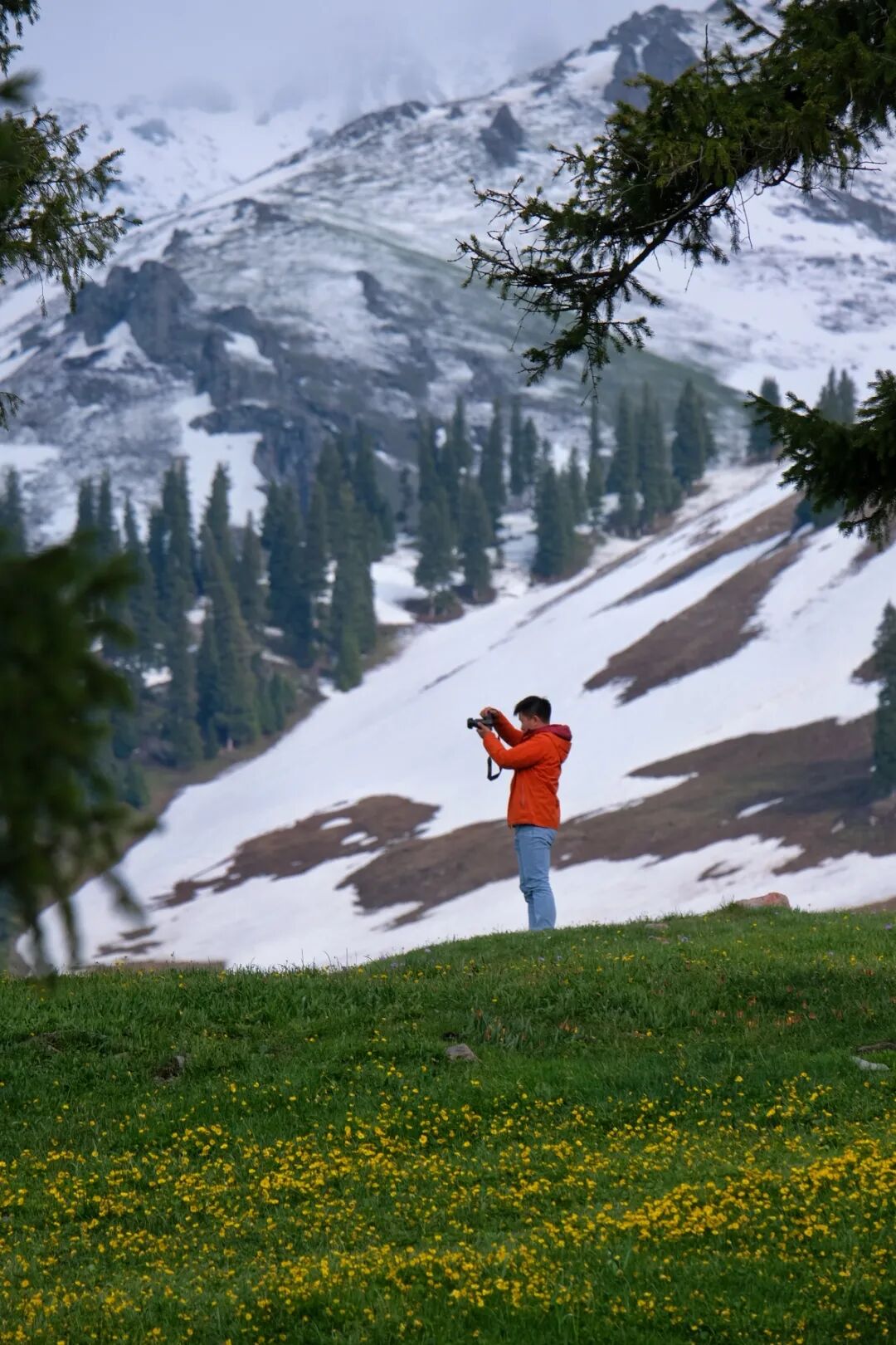 伊犁必去景点_伊犁必去的十大景点_伊犁旅游必去的地方