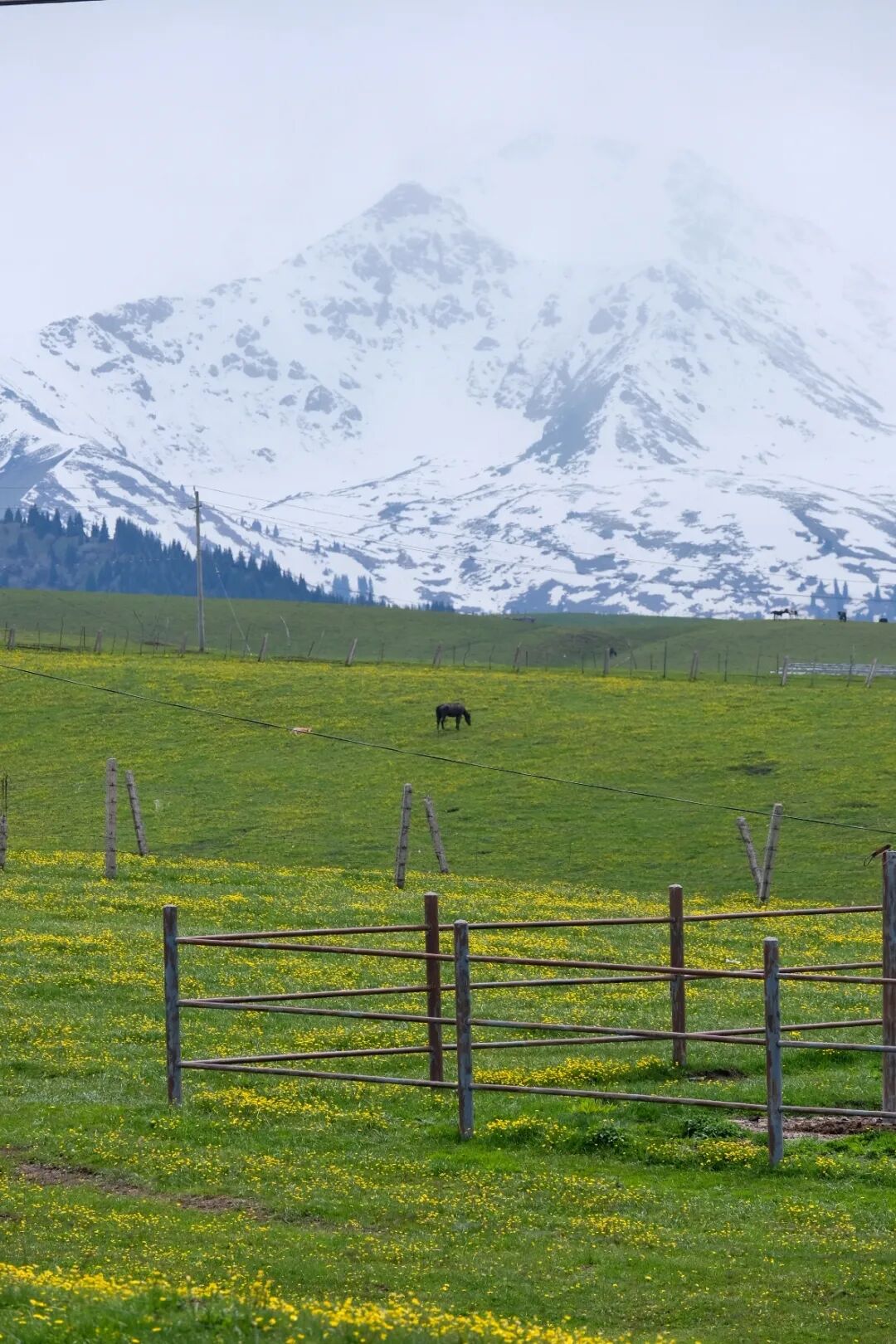 伊犁必去的十大景点_伊犁旅游必去的地方_伊犁必去景点