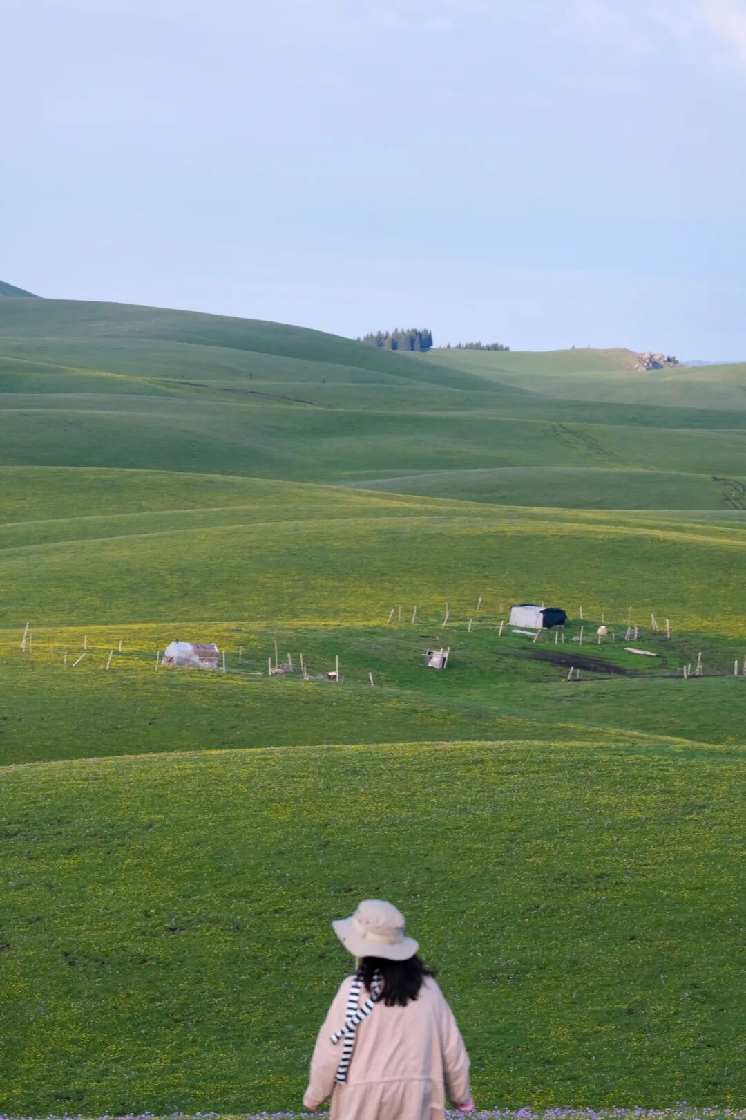 伊犁必去的十大景点_伊犁旅游必去的地方_伊犁必去景点