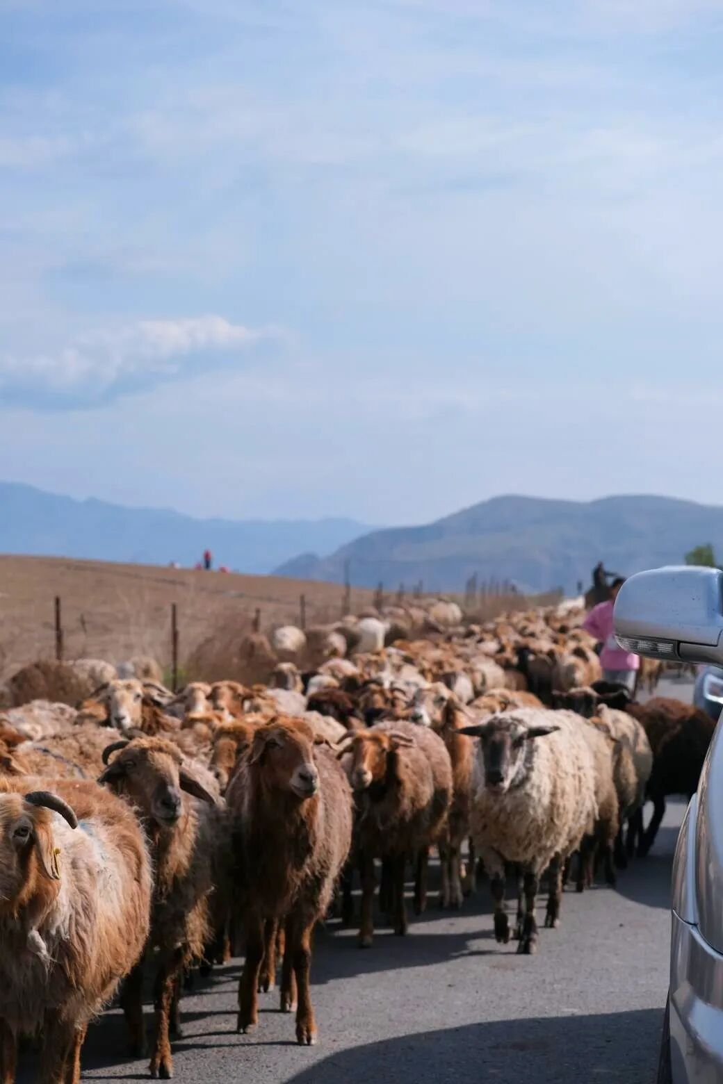 伊犁必去的十大景点_伊犁旅游必去的地方_伊犁必去景点