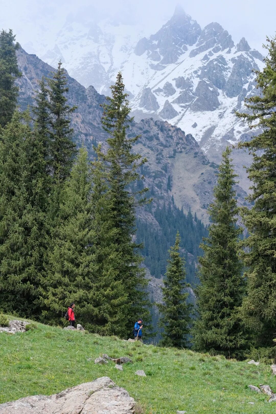 伊犁必去景点_伊犁旅游必去的地方_伊犁必去的十大景点