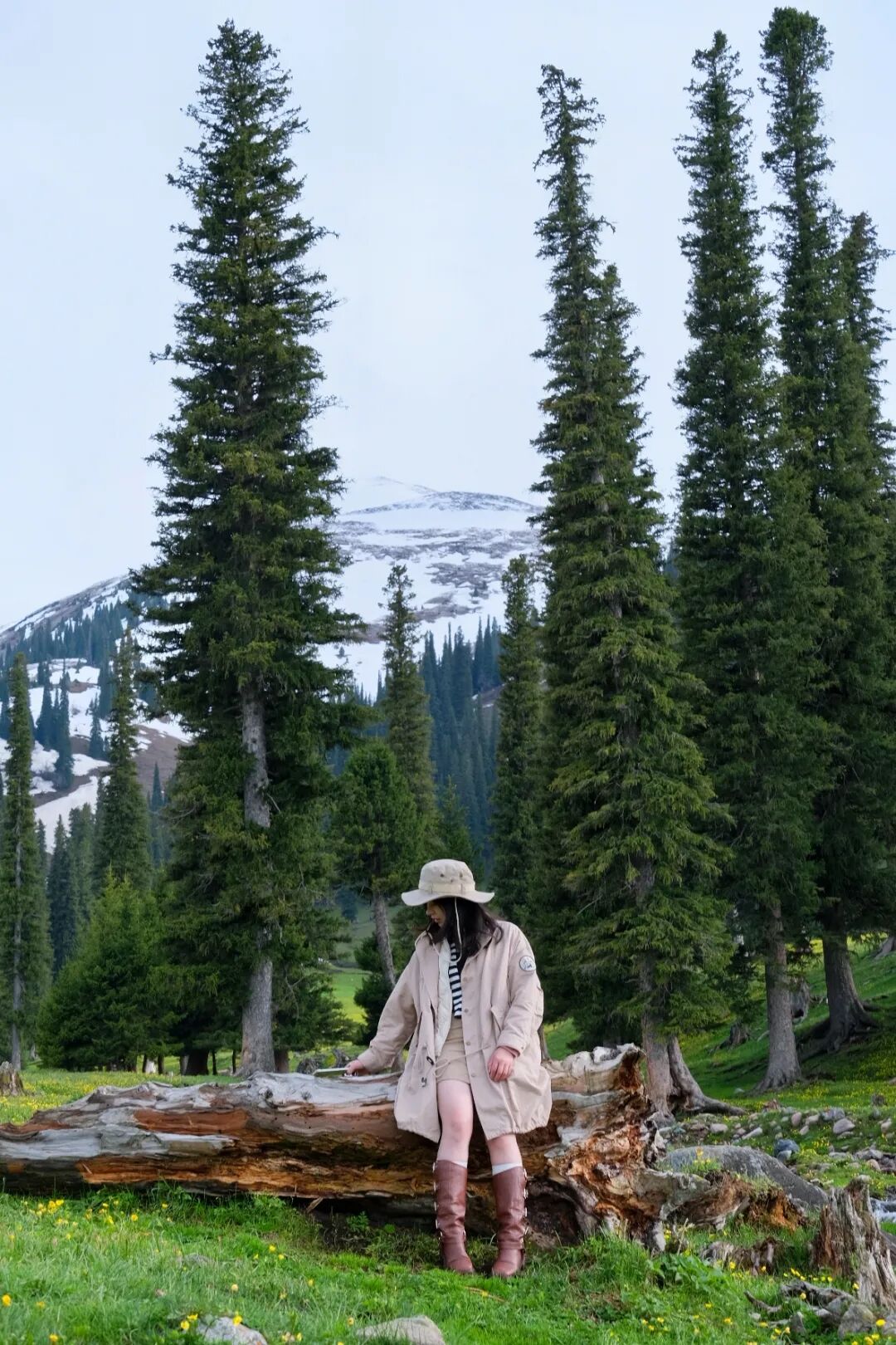 伊犁旅游必去的地方_伊犁必去的十大景点_伊犁必去景点