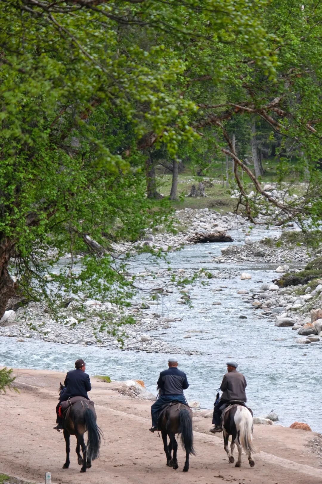 伊犁旅游必去的地方_伊犁必去的十大景点_伊犁必去景点