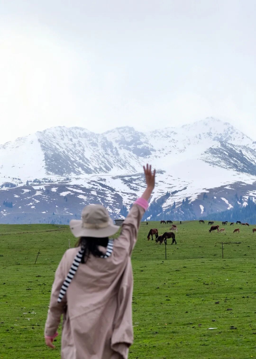 伊犁必去景点_伊犁旅游必去的地方_伊犁必去的十大景点