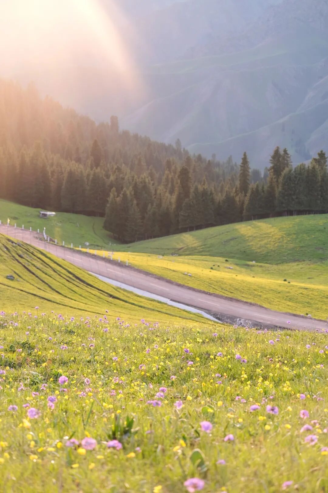伊犁必去景点_伊犁必去的十大景点_伊犁旅游必去的地方