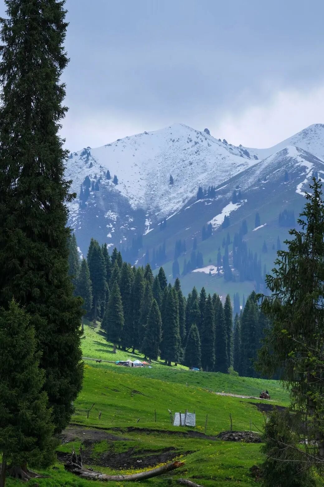 伊犁必去的十大景点_伊犁必去景点_伊犁旅游必去的地方