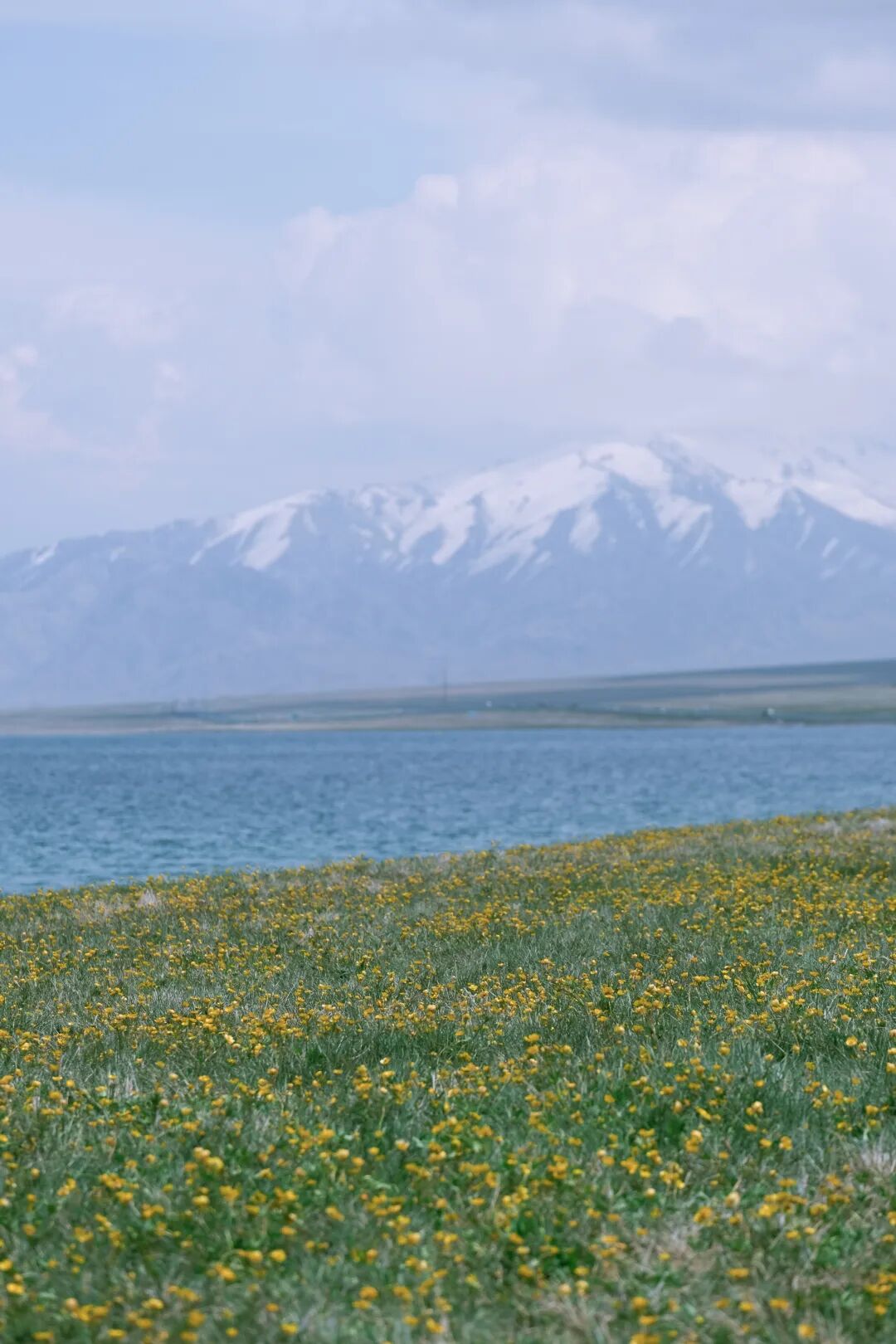 伊犁旅游必去的地方_伊犁必去的十大景点_伊犁必去景点