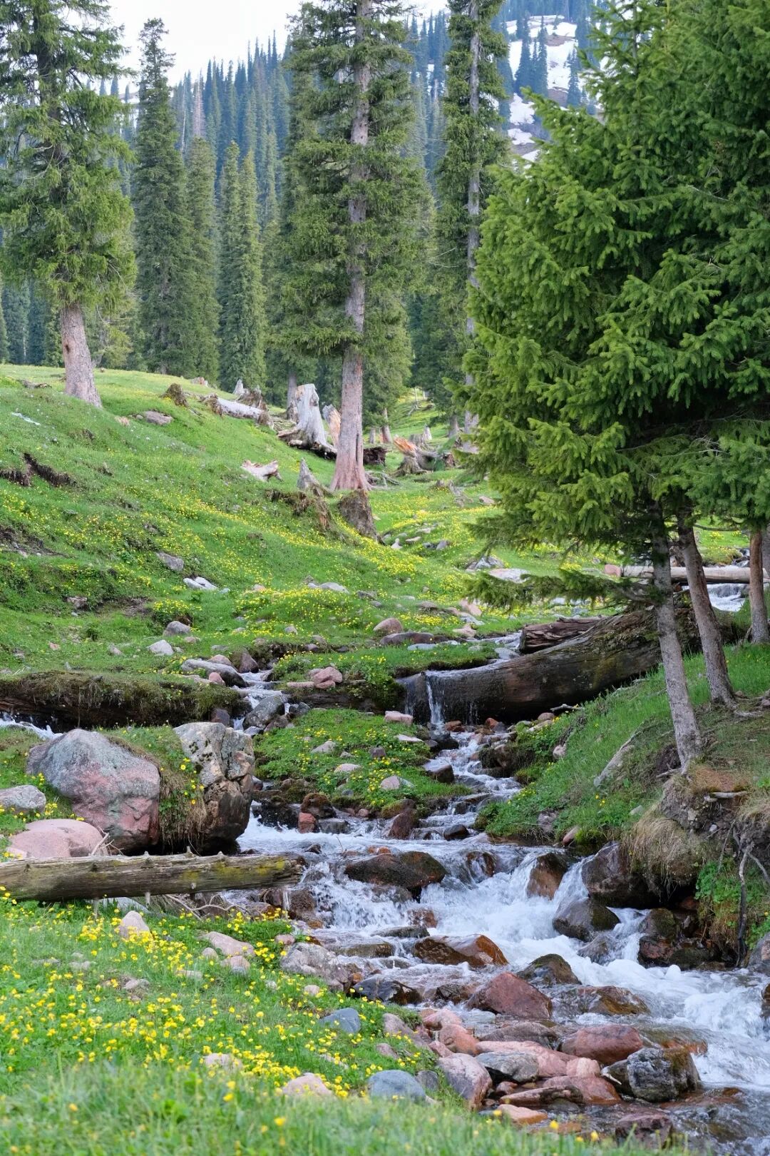 伊犁旅游必去的地方_伊犁必去的十大景点_伊犁必去景点