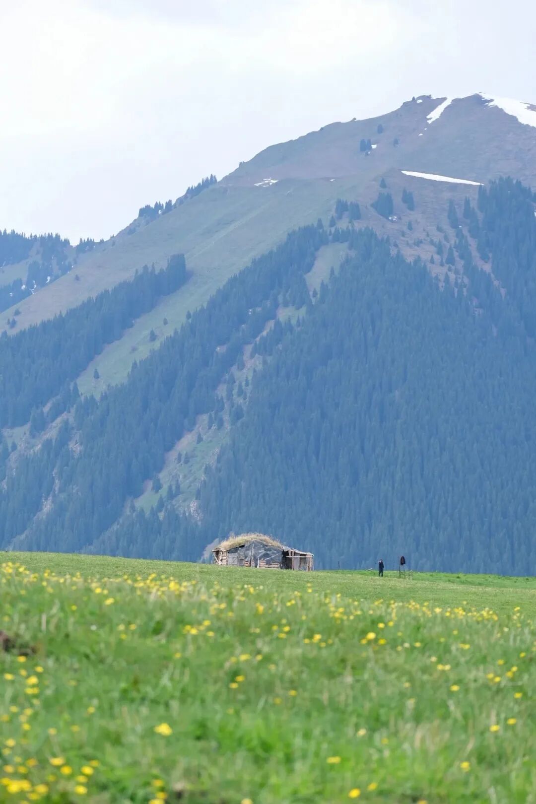 伊犁必去的十大景点_伊犁必去景点_伊犁旅游必去的地方