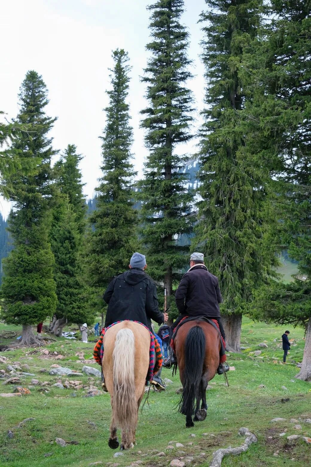 伊犁必去景点_伊犁必去的十大景点_伊犁旅游必去的地方
