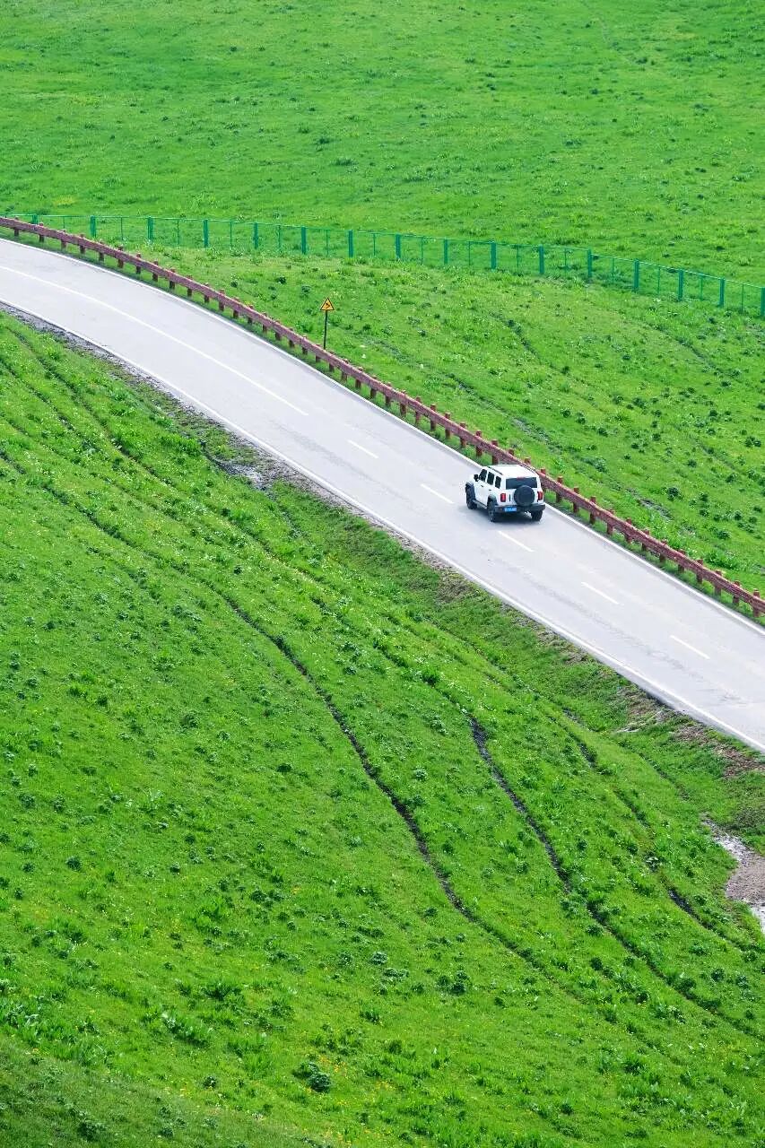 伊犁必去景点_伊犁旅游必去的地方_伊犁必去的十大景点