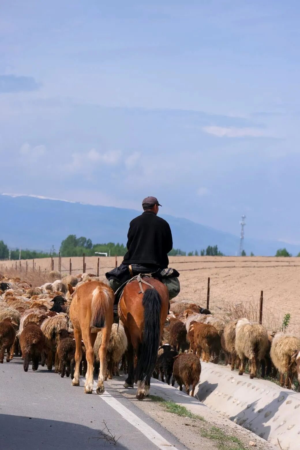 伊犁旅游必去的地方_伊犁必去的十大景点_伊犁必去景点
