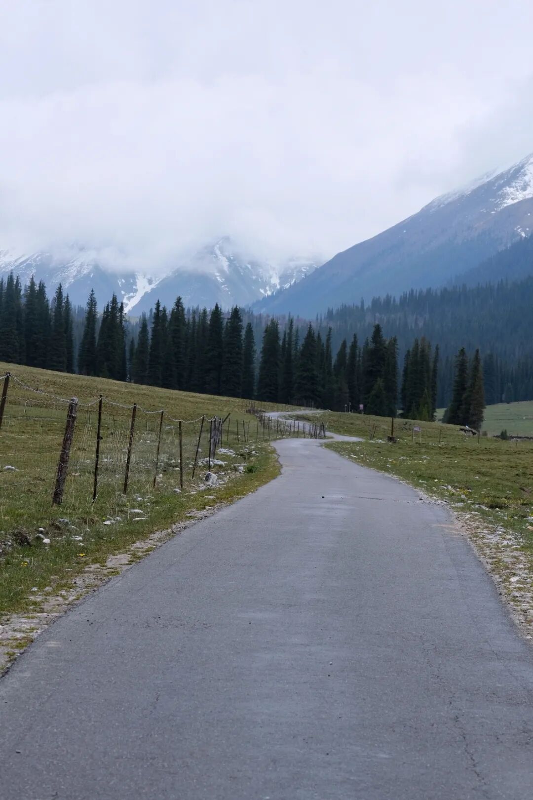 伊犁必去景点_伊犁旅游必去的地方_伊犁必去的十大景点